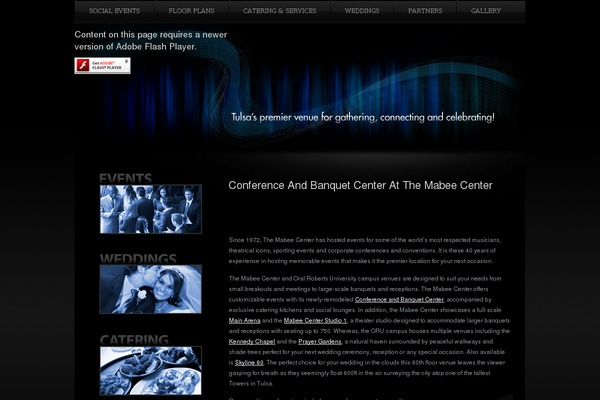 Bridge Child theme site design template sample