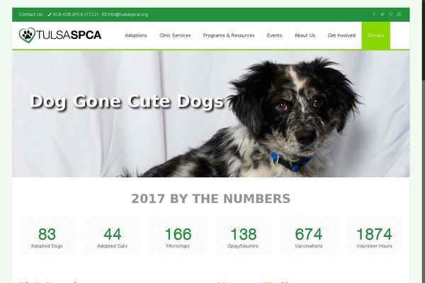 Site using Custom-facebook-feed-pro plugin