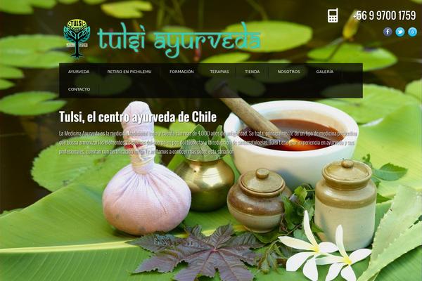 Spa theme site design template sample