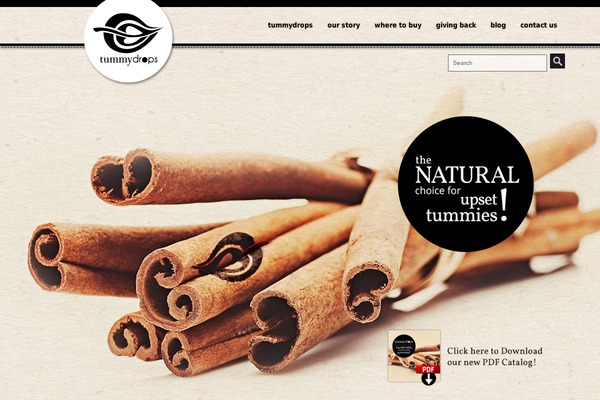 Bigbang theme site design template sample