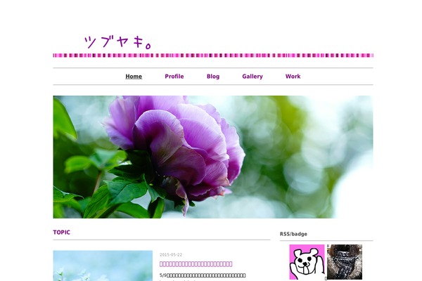 Site using WP-FacebookConnect plugin