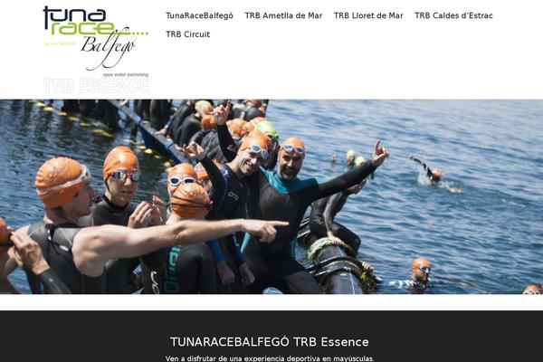 Flexform theme site design template sample