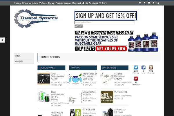 AlYoum theme site design template sample