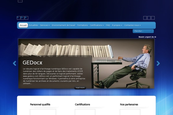TheProfessional theme site design template sample