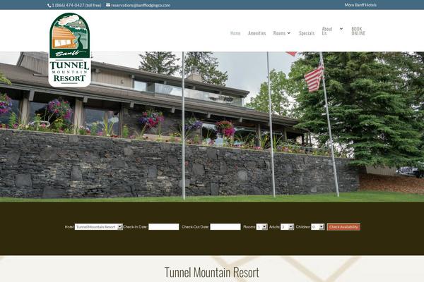 Site using Divi-pixel plugin