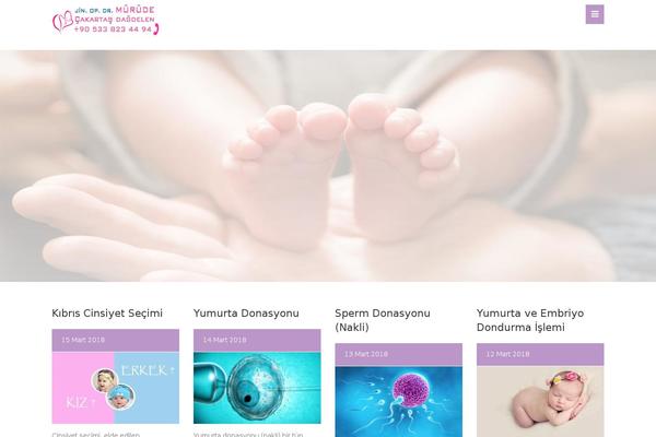 Solo theme site design template sample
