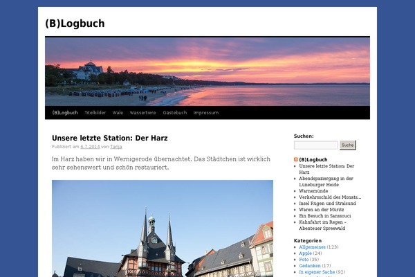 Sparkling theme site design template sample