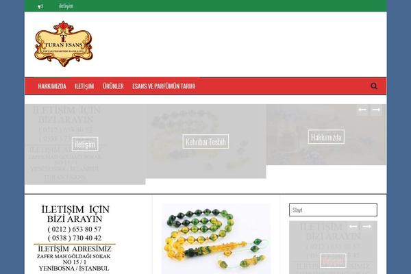 FlyMag theme site design template sample