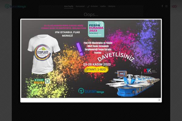 Site using Salient-portfolio plugin