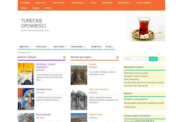 MesoColumn theme site design template sample