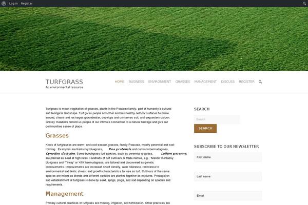 Interface Pro theme site design template sample