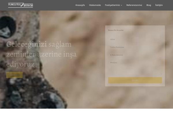 Navian theme site design template sample
