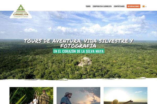 carmelita theme websites examples