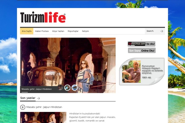 Brennuis theme site design template sample