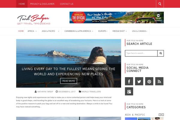 Newsright theme site design template sample
