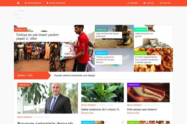 Codilight theme site design template sample
