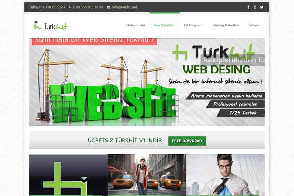 Go theme site design template sample