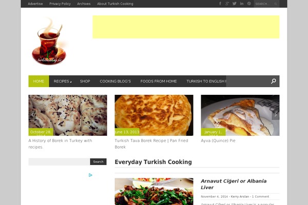 Magazon theme site design template sample