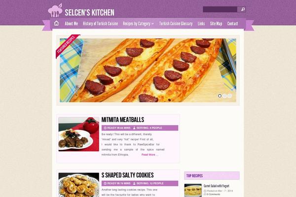Zylyz theme site design template sample