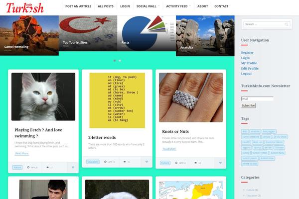 Pluto-osetin-theme theme site design template sample