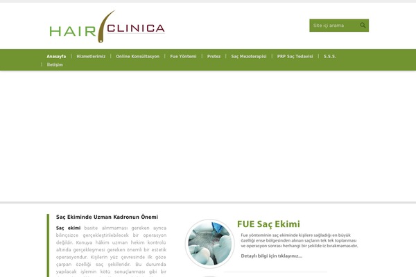 Replete theme site design template sample