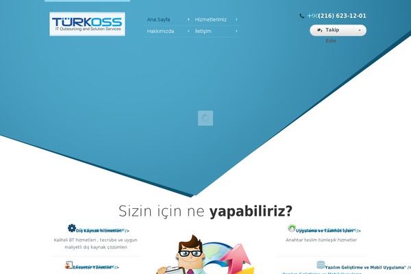 Nollie theme site design template sample