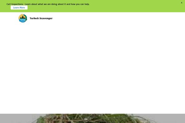 Site using Divi-builder plugin