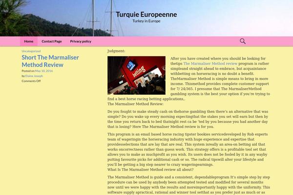 Smile theme site design template sample