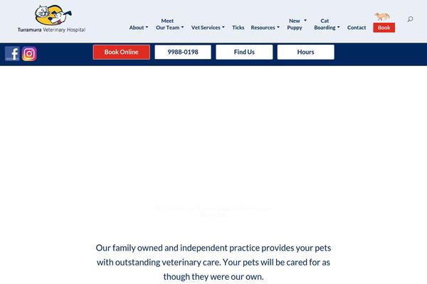 Site using Divi-bars plugin