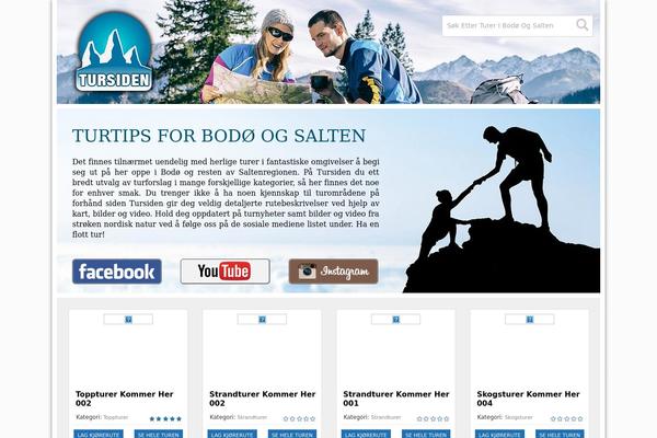 Dt theme site design template sample