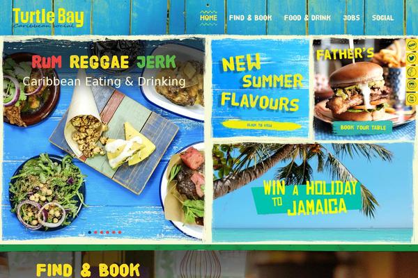 Turtle theme websites examples