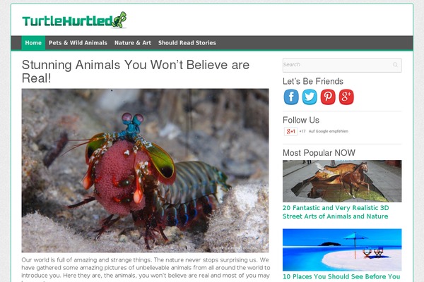 Coverage theme site design template sample