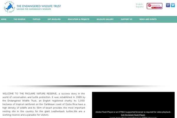 turtleprotection.org site used English