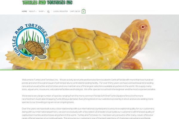 Flatsome Child Theme theme site design template sample