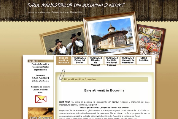 Photoframe theme site design template sample