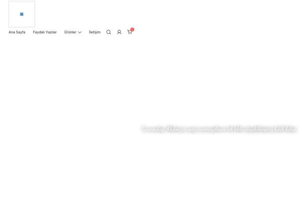 Botiga theme site design template sample