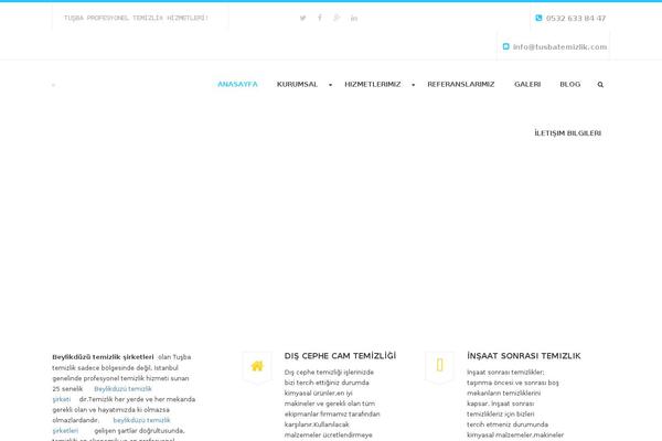 tusbatemizlik.com site used Wp-maxclean