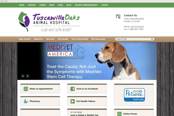Lifelearn theme site design template sample