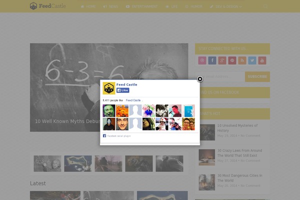 Flick theme site design template sample