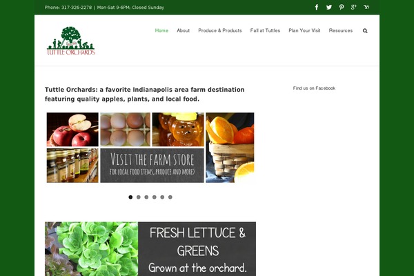 Site using Better WordPress Minify plugin