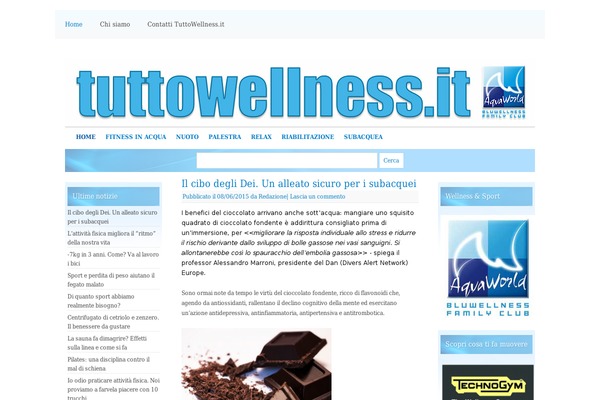 Snow Summit theme site design template sample