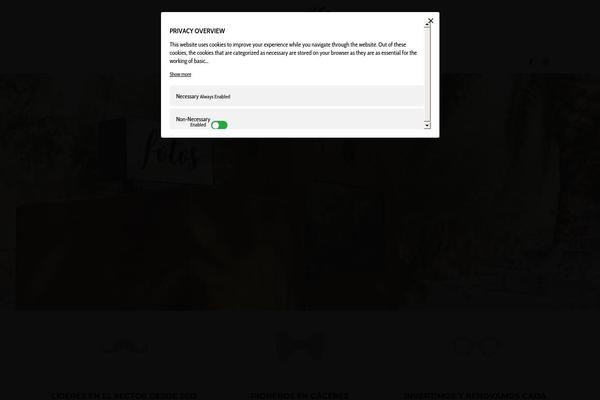 Blade theme site design template sample