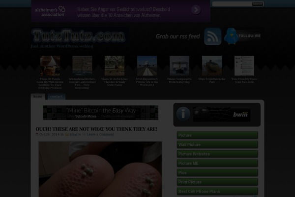 StudioPress theme site design template sample