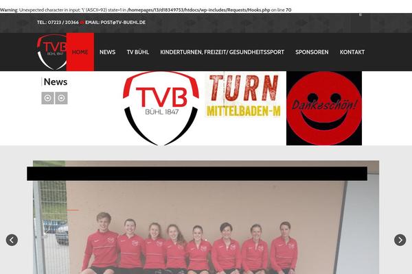 Site using Font Awesome More Icons plugin