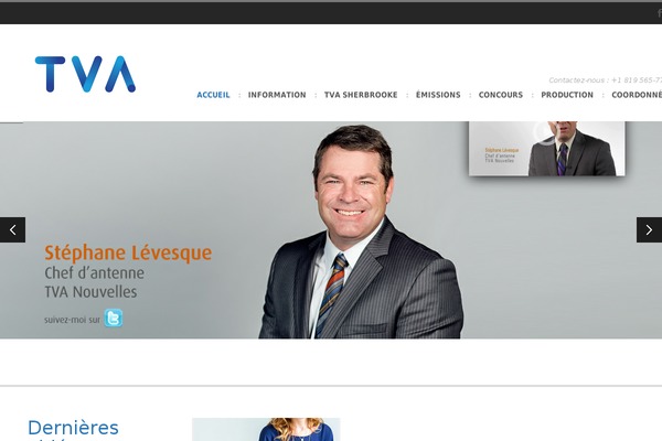 CleanSpace theme websites examples
