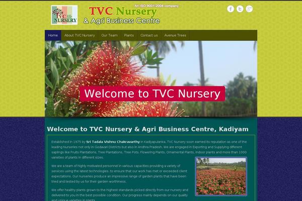 Site using Ultimate Addons for SiteOrigin plugin