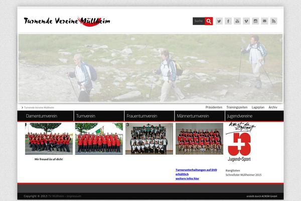 Tv theme site design template sample