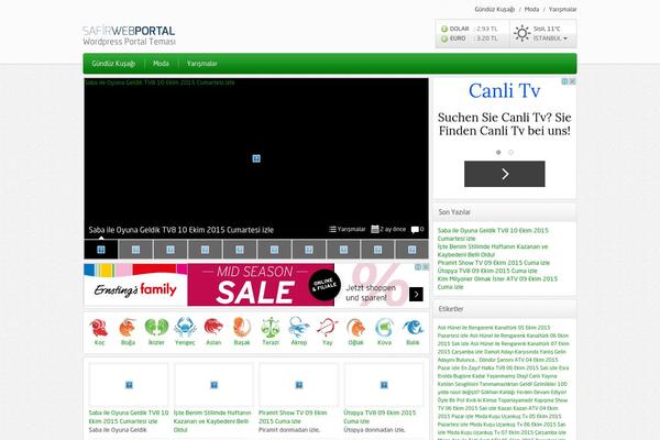 tvprogramizle.com site used Safirtema