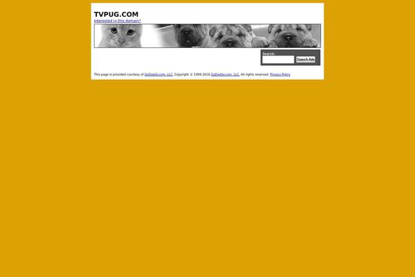 Metube theme site design template sample