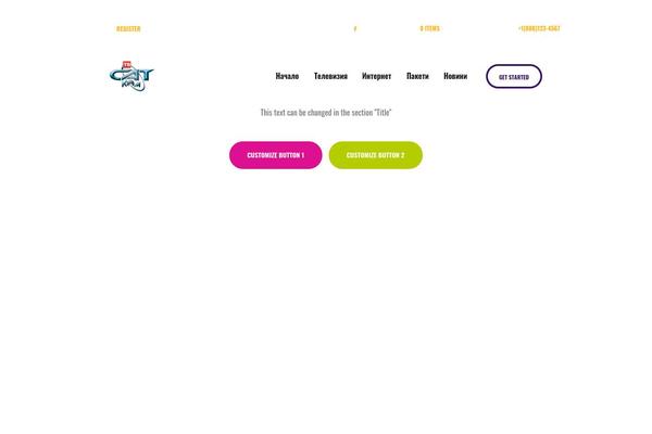 MaxiNet theme site design template sample